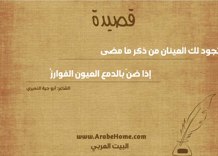 تجود لك العينان من ذكر ما مضى