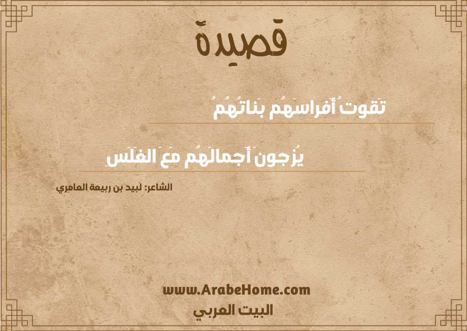 تَقوتُ أَفراسَهُم بَناتُهُمُ