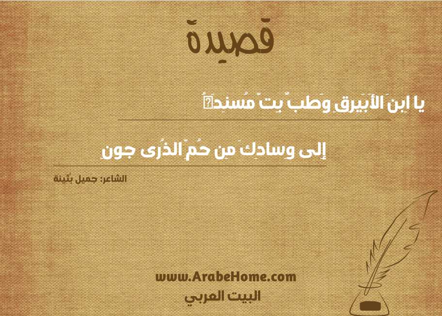 يا اِبنَ الأَبَيرِقِ وَطبٌ بِتَّ مُسنِدَهُ