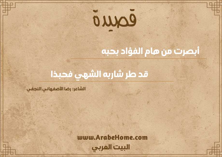 أبصرت من هام الفؤاد بحبه