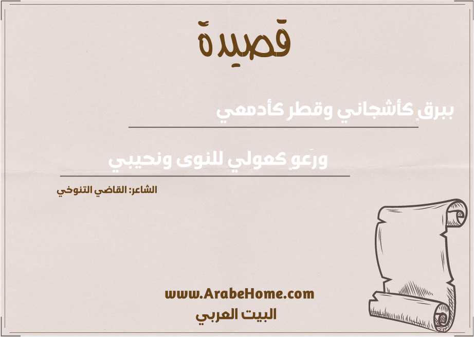 ببرقٍ كأشجاني وقطرٍ كأدمعي