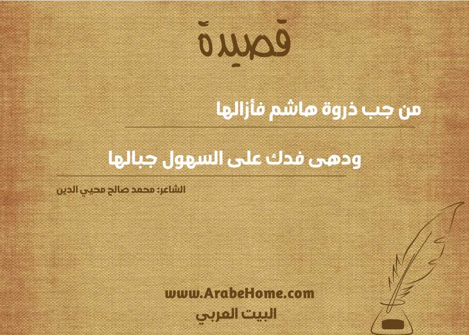قصيدة من جب ذروة هاشم فأزالها