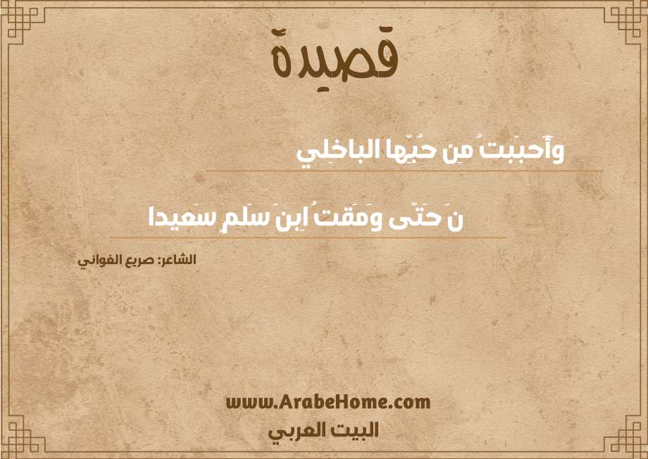 قصيدة وَأَحبَبتُ مِن حُبِّها الباخِلي