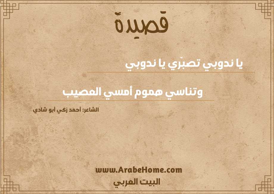 يا ندوبي تصبّري يا ندوبي