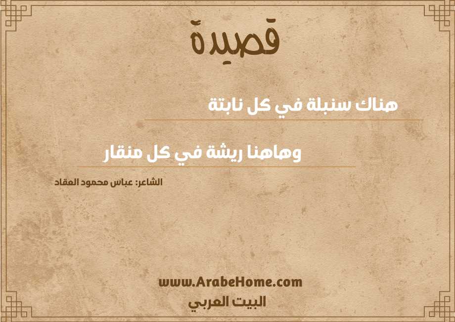 هناك سنبلة في كل نابتة 