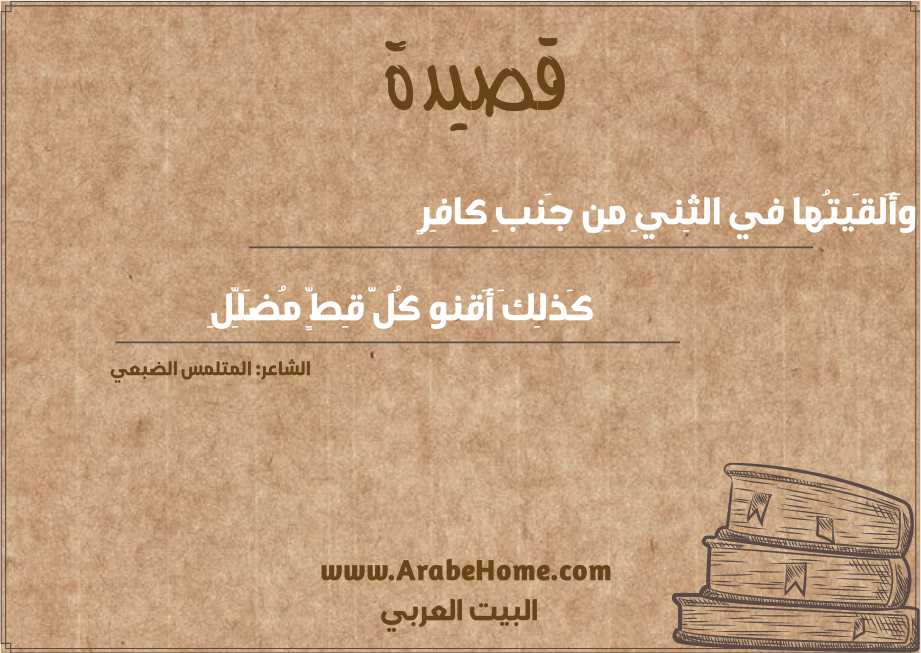 وَأَلقَيتُها في الثِنيِ مِن جَنبِ كافِرٍ