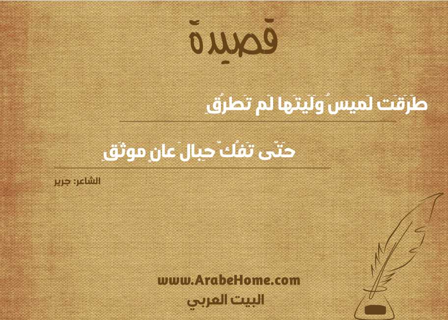 طَرَقَت لَميسُ وَلَيتَها لَم تَطرُقِ