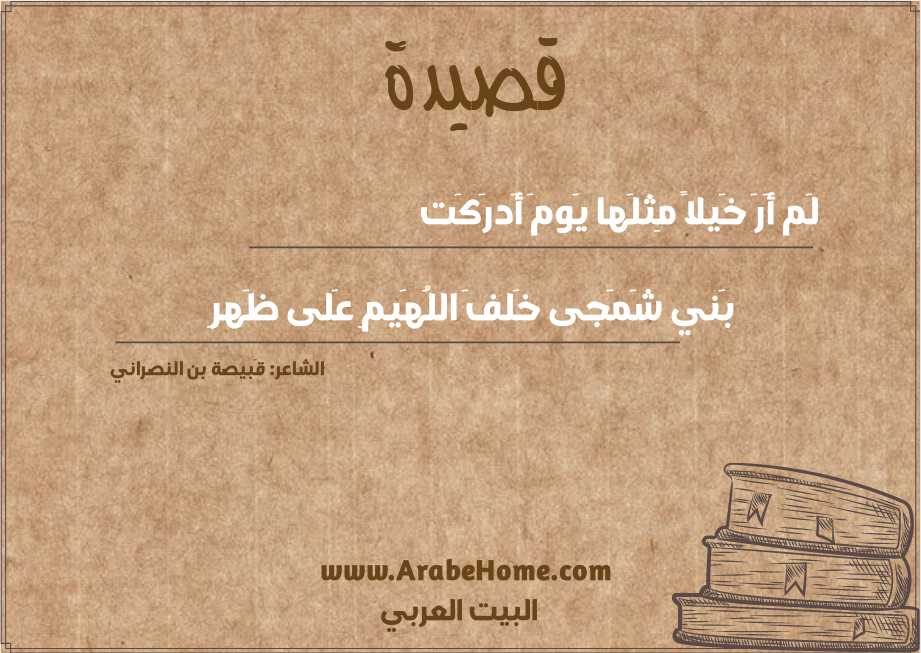 لَم أَرَ خَيلاً مِثلَها يَومَ أَدرَكَت