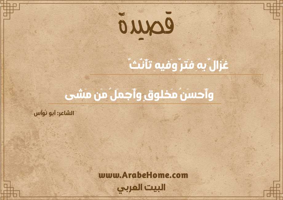 غَزالٌ بِهِ فَترٌ وَفيهِ تَأَنُّثٌ