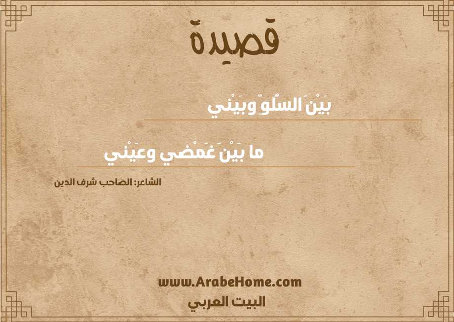 قصيدة بَيْنَ السُّلوِّ وبَيْني