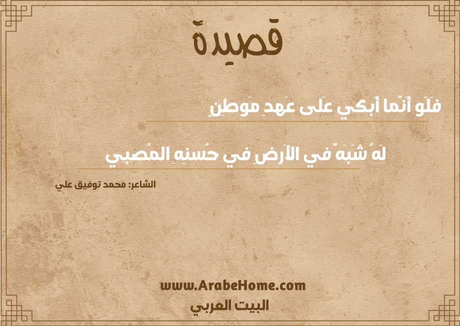 قصيدة فَلَو أَنَّما أَبكي عَلى عَهدِ مَوطِنٍ