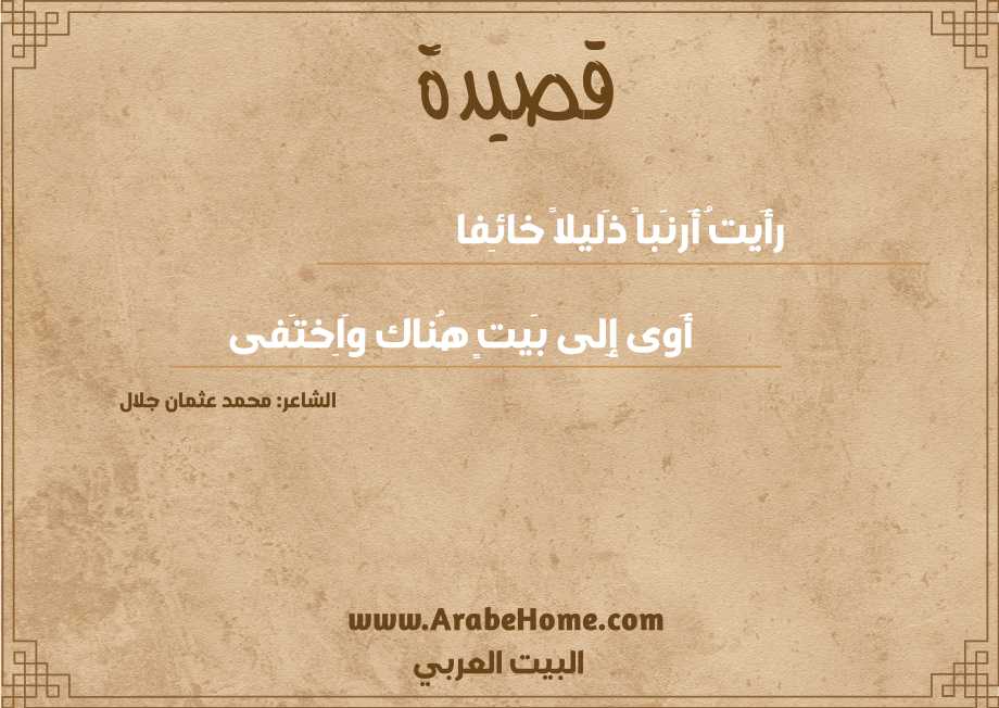قصيدة رأَيتُ أَرنَباً ذَليلاً خائِفا