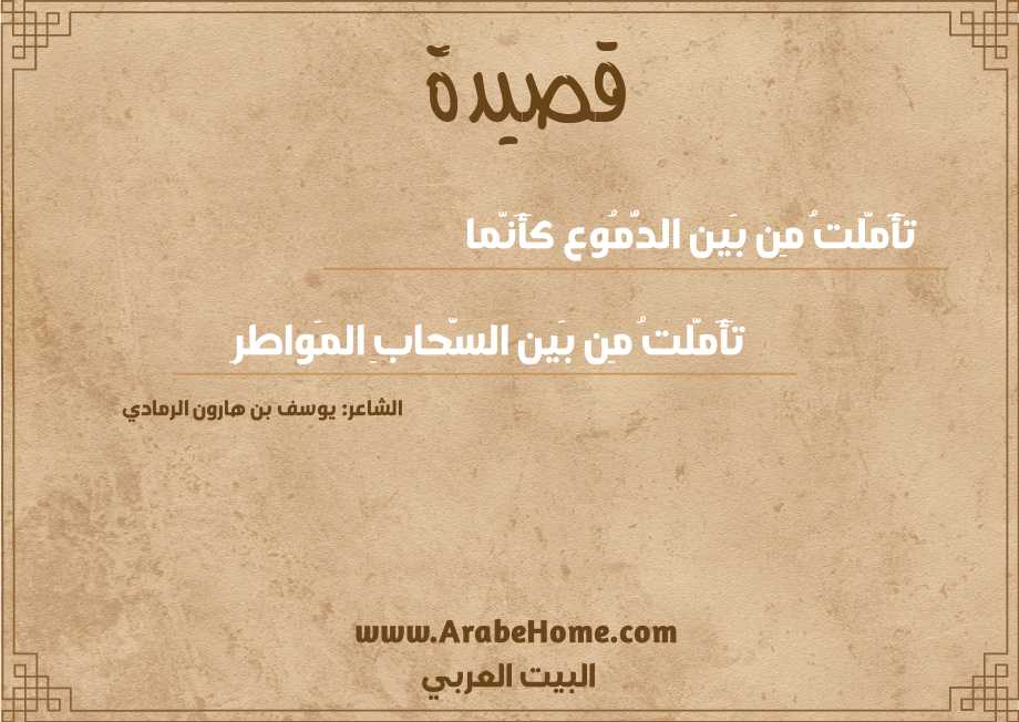 تَأَمَّلتُ مِن بَين الدُّمُوع كَأَنَّما