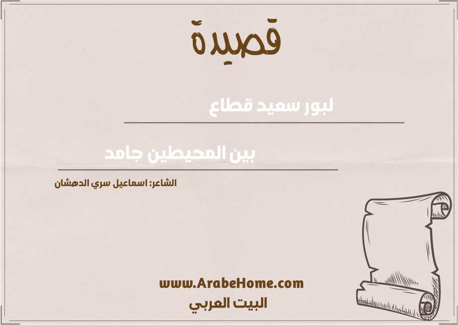لبور سعيد قطاع